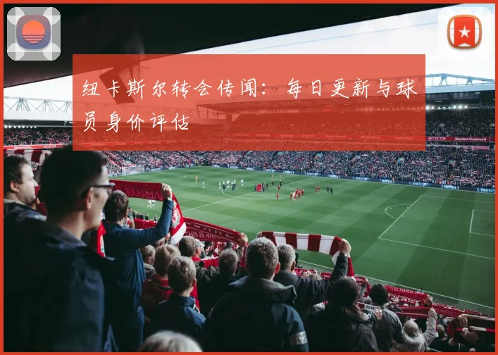 纽卡斯尔转会传闻：每日更新与球员身价评估