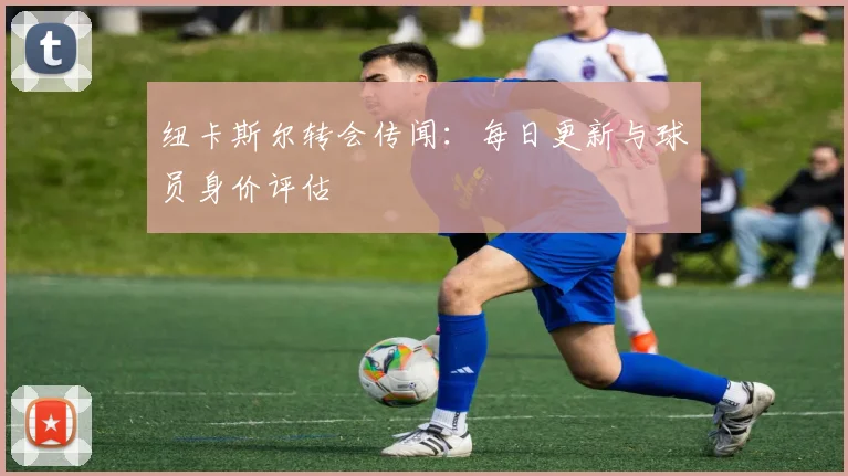 纽卡斯尔转会传闻：每日更新与球员身价评估