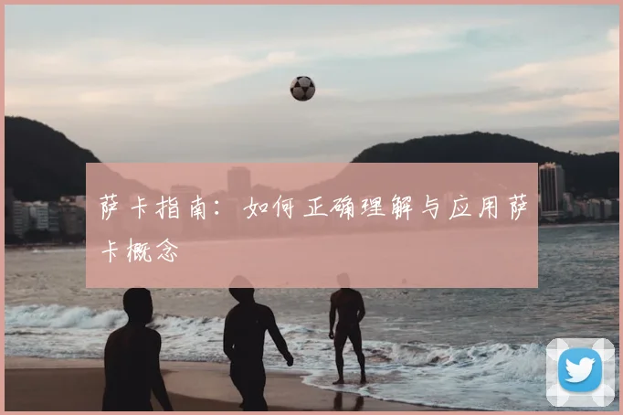 萨卡指南：如何正确理解与应用萨卡概念