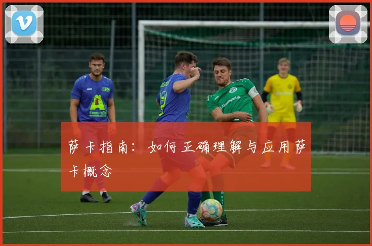 萨卡指南：如何正确理解与应用萨卡概念